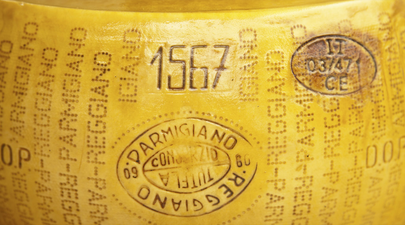 Nuova02.jpg Image